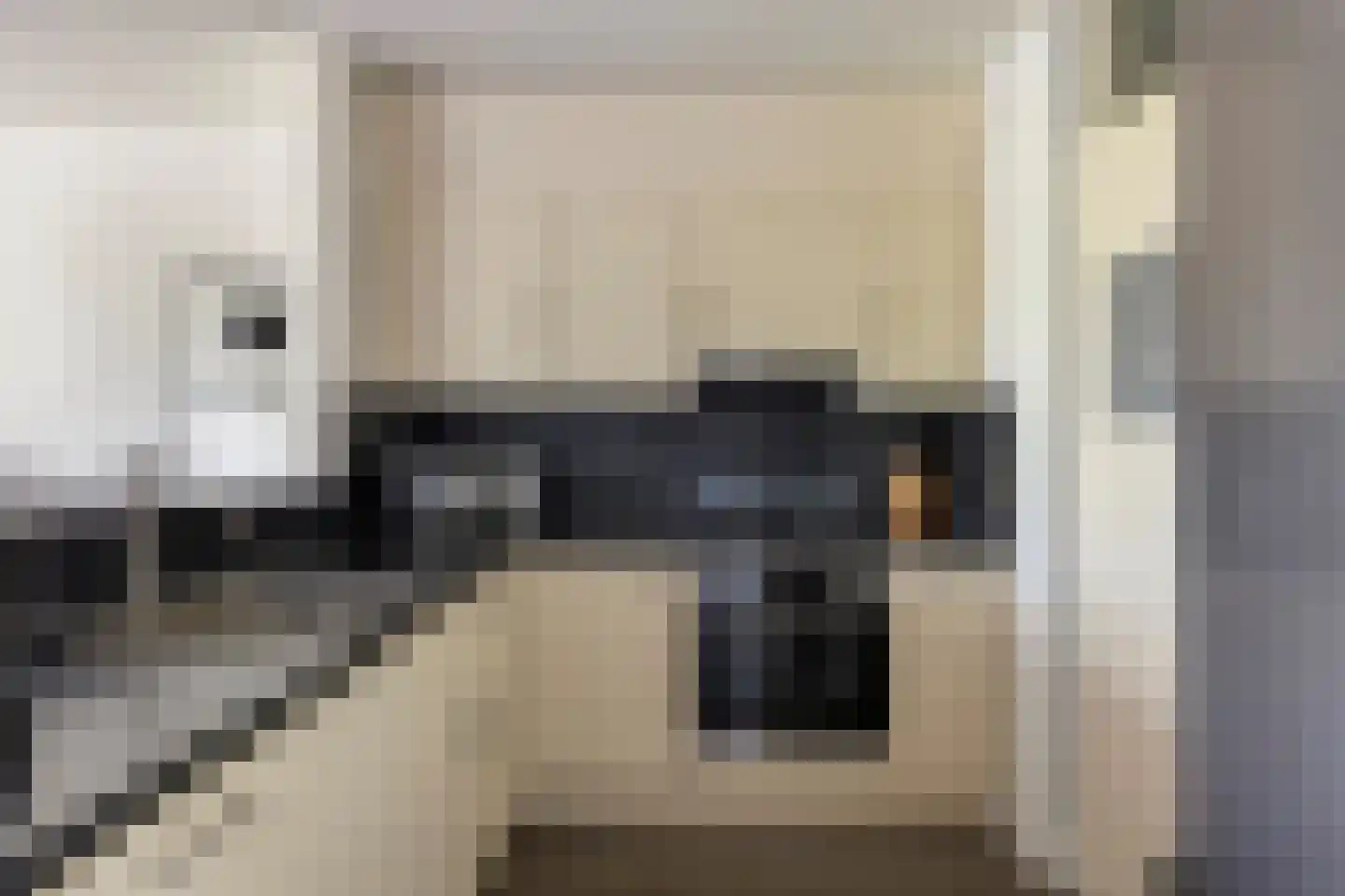 Europalaan 14 B Eindhoven thumbnail 17