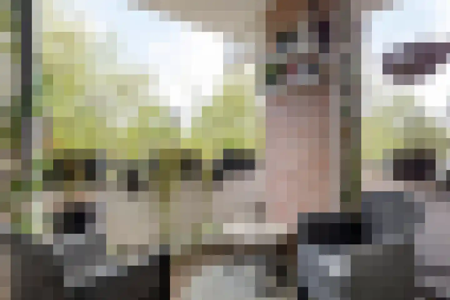 Europalaan 14 B Eindhoven thumbnail 20