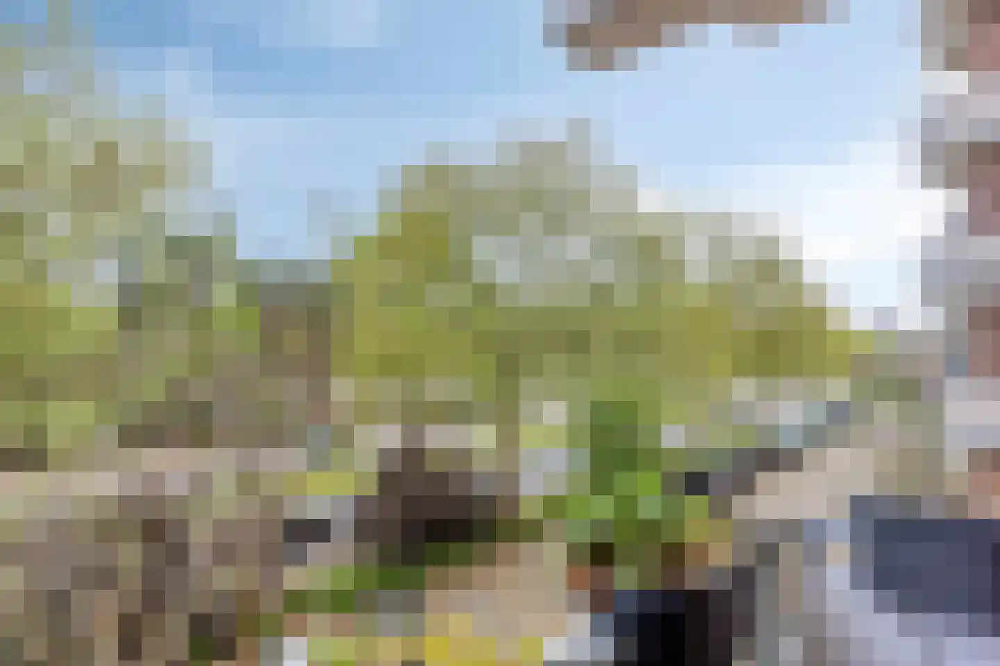 Europalaan 14 B Eindhoven thumbnail 28