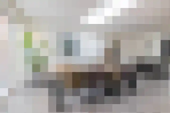 Europalaan 140 Nuenen thumbnail 14