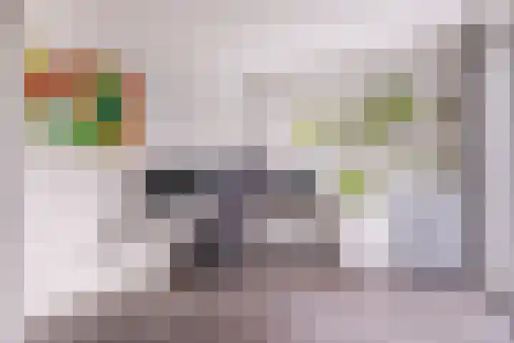 Europalaan 140 Nuenen thumbnail 21