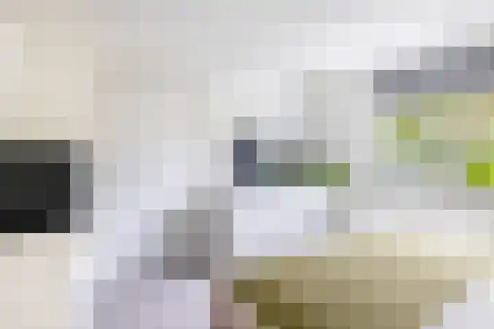 Europalaan 140 Nuenen thumbnail 28