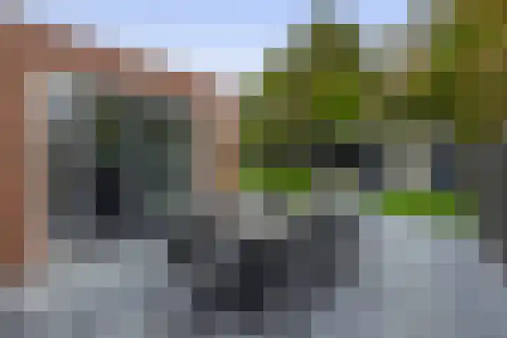 Europalaan 140 Nuenen thumbnail 39