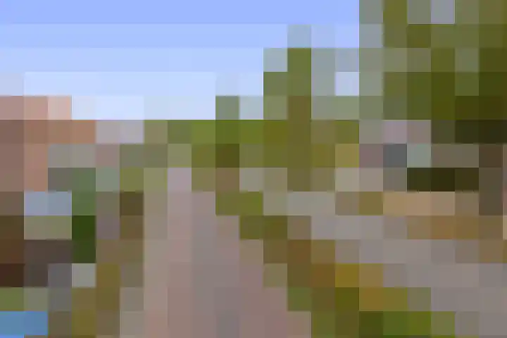 Europalaan 140 Nuenen thumbnail 45