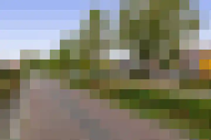 Europalaan 140 Nuenen thumbnail 46