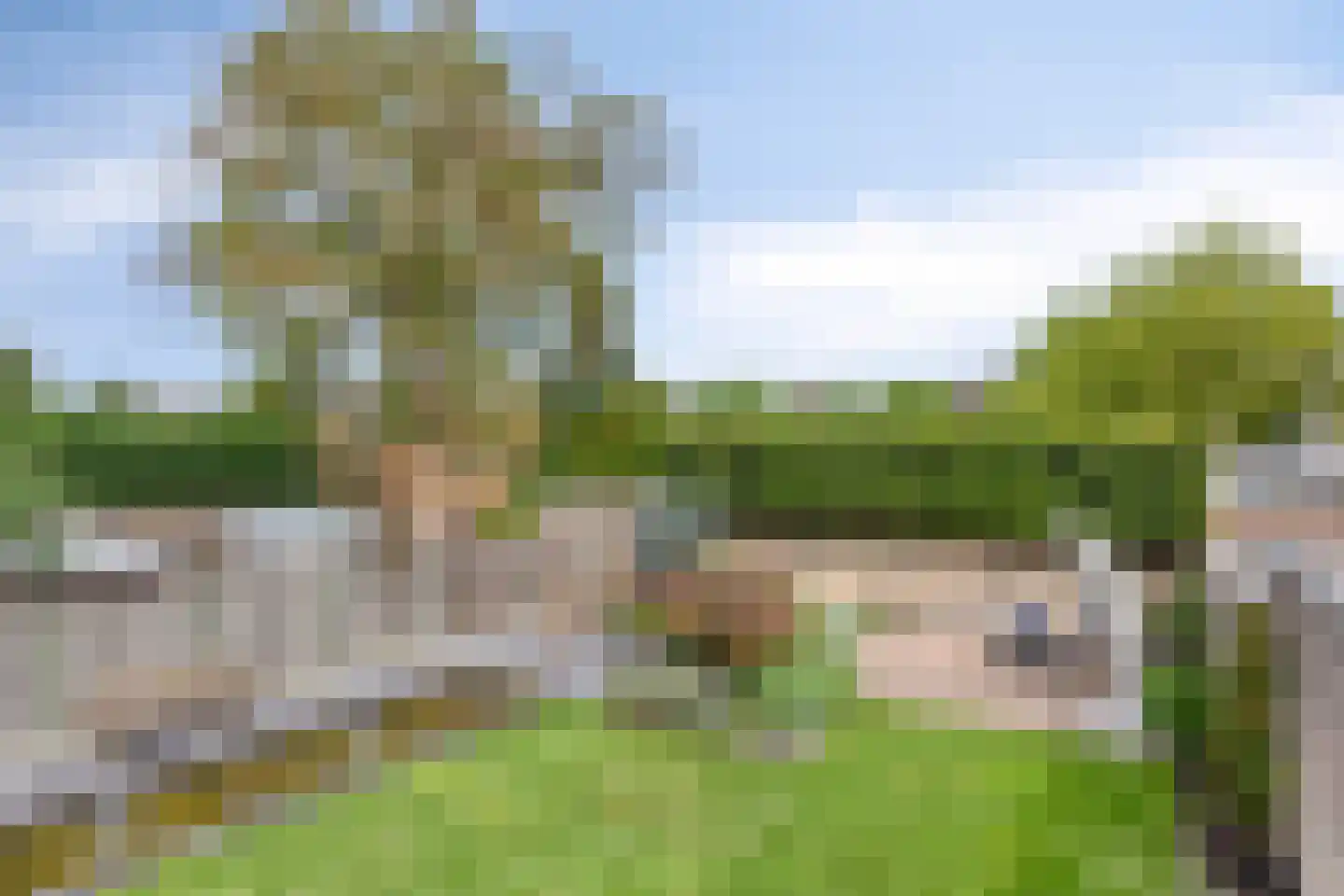Europalaan 148 Eindhoven thumbnail 31