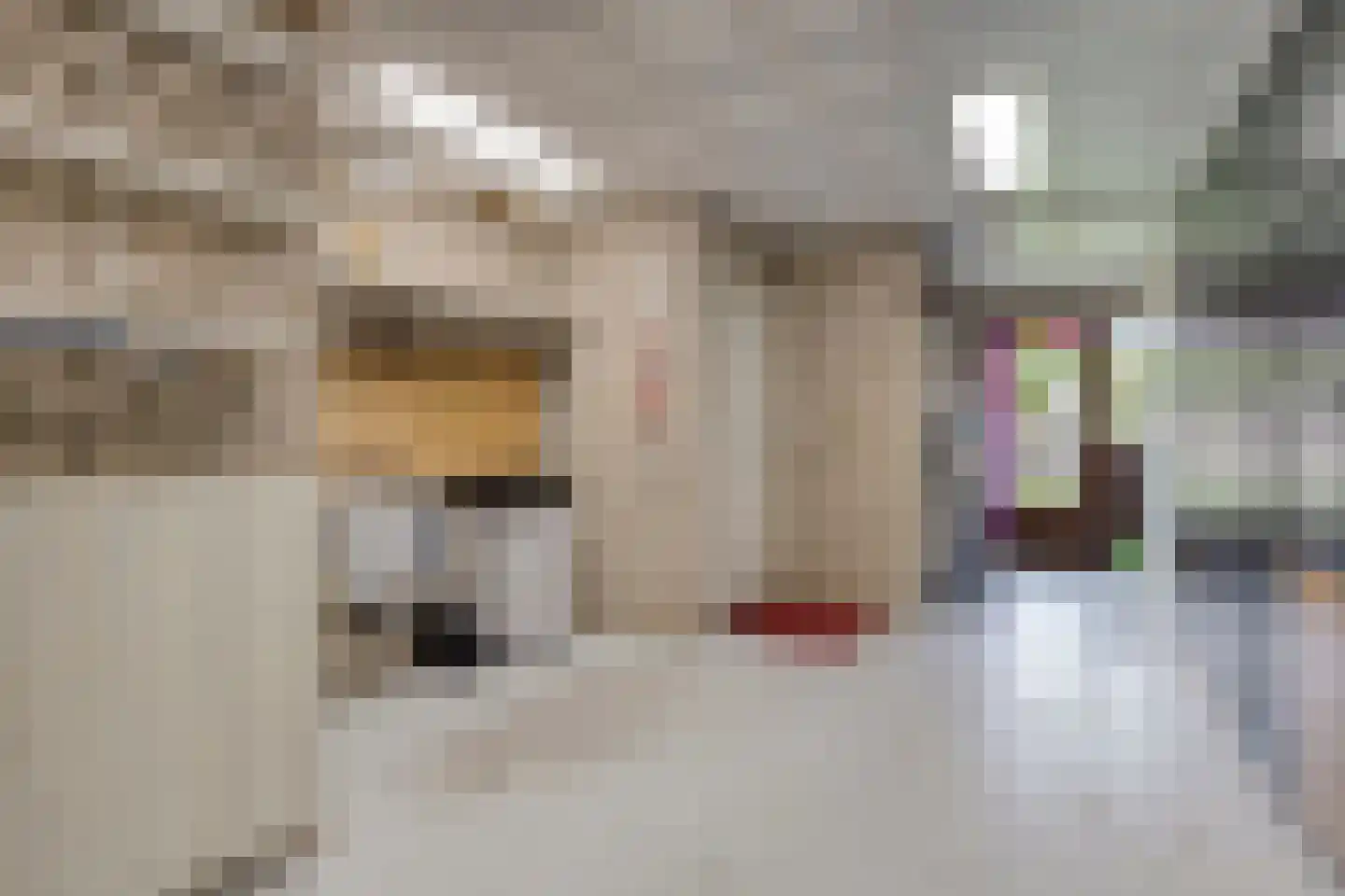 Europalaan 148 Eindhoven thumbnail 37