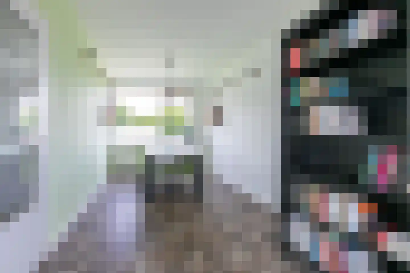 Europalaan 153 Tilburg thumbnail 13