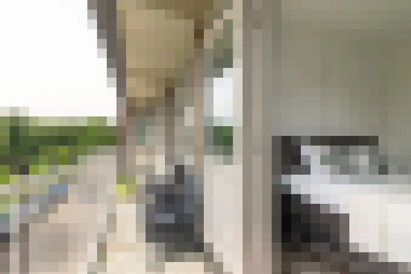 Europalaan 153 Tilburg thumbnail 18