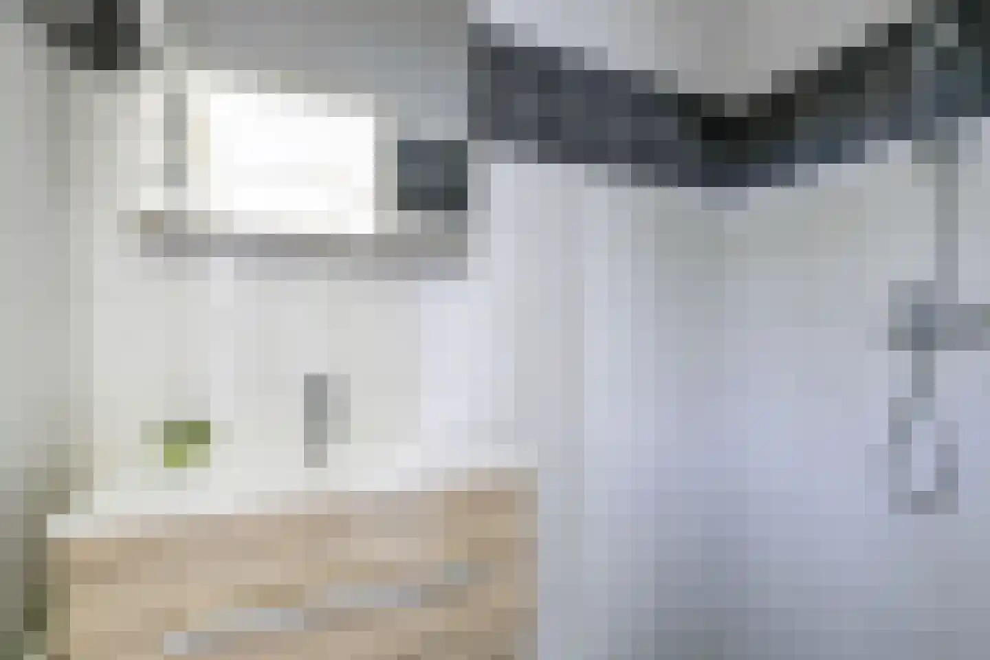 Europalaan 153 Tilburg thumbnail 26