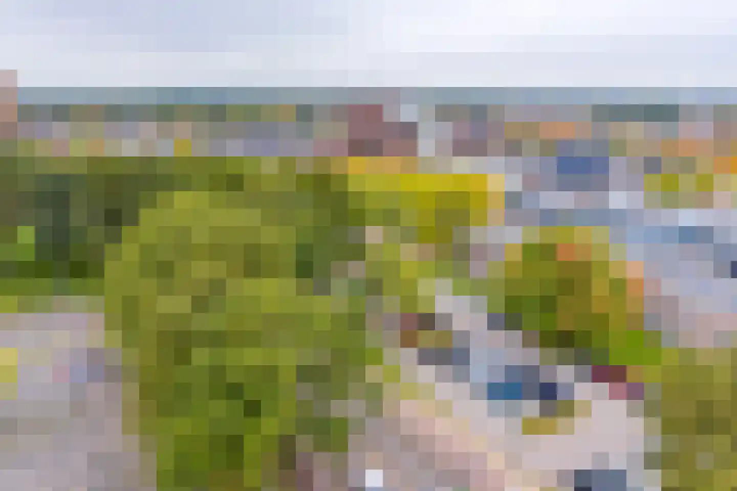 Europalaan 158 Stadskanaal thumbnail 5