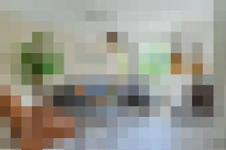 Europalaan 16 C Eindhoven thumbnail 10