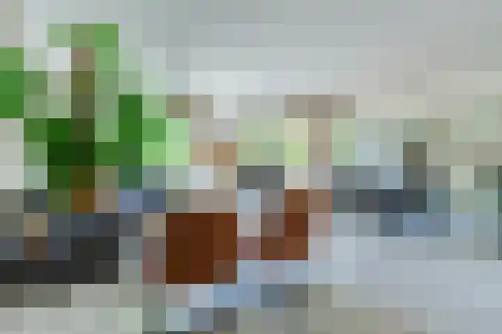 Europalaan 16 C Eindhoven thumbnail 12