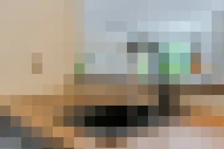 Europalaan 16 C Eindhoven thumbnail 17