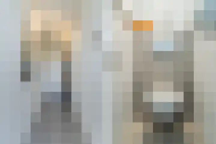 Europalaan 16 C Eindhoven thumbnail 18