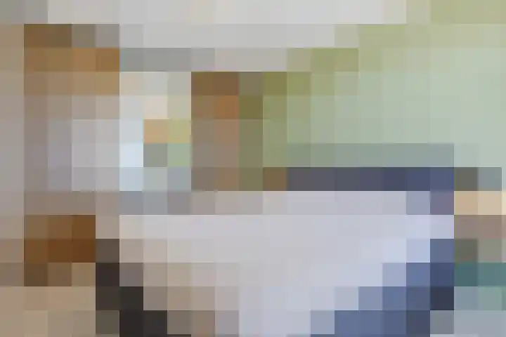 Europalaan 16 C Eindhoven thumbnail 19