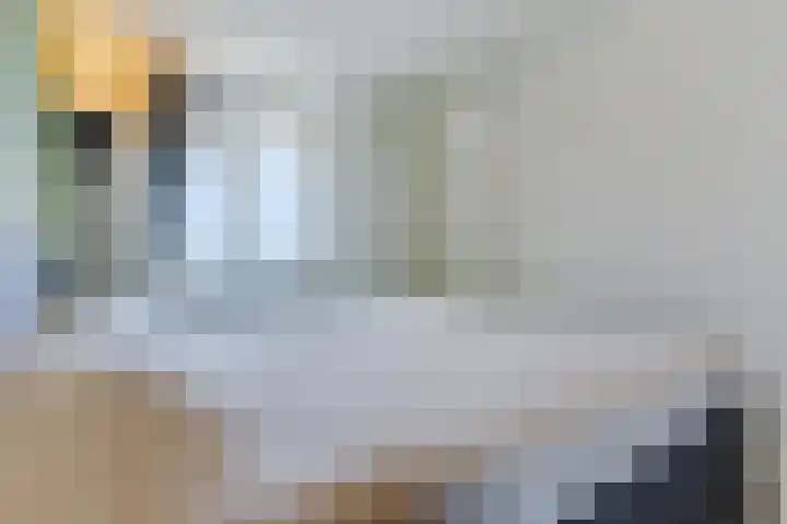 Europalaan 16 C Eindhoven thumbnail 20