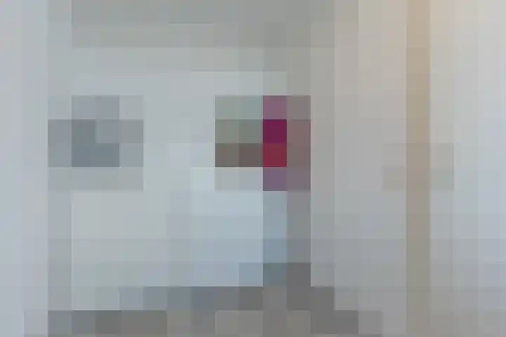 Europalaan 16 C Eindhoven thumbnail 21