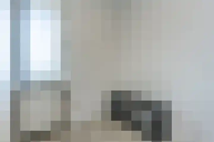 Europalaan 16 C Eindhoven thumbnail 22