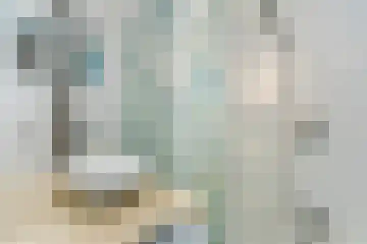 Europalaan 16 C Eindhoven thumbnail 24