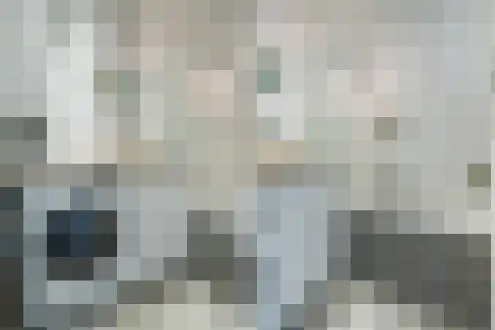 Europalaan 16 C Eindhoven thumbnail 25