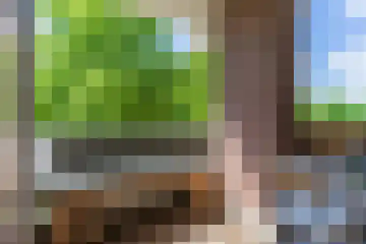 Europalaan 16 C Eindhoven thumbnail 26