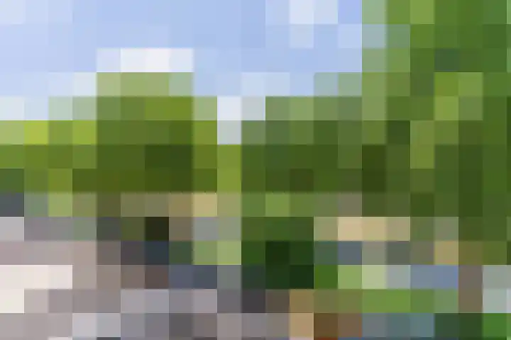 Europalaan 16 C Eindhoven thumbnail 28