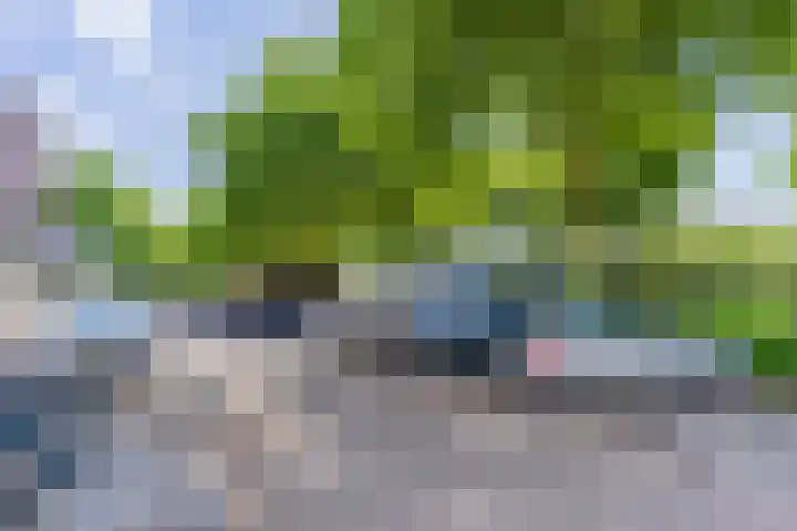Europalaan 16 C Eindhoven thumbnail 30