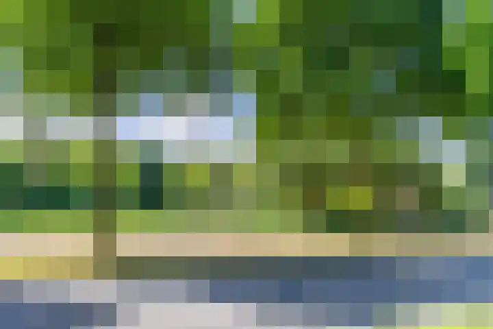 Europalaan 16 C Eindhoven thumbnail 31