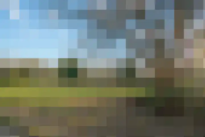 Europalaan 16 D Eindhoven thumbnail 36