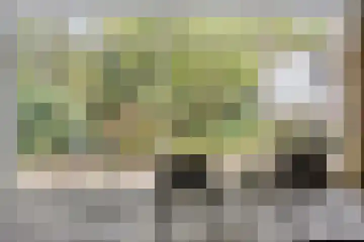 Europalaan 16 Son en Breugel thumbnail 11