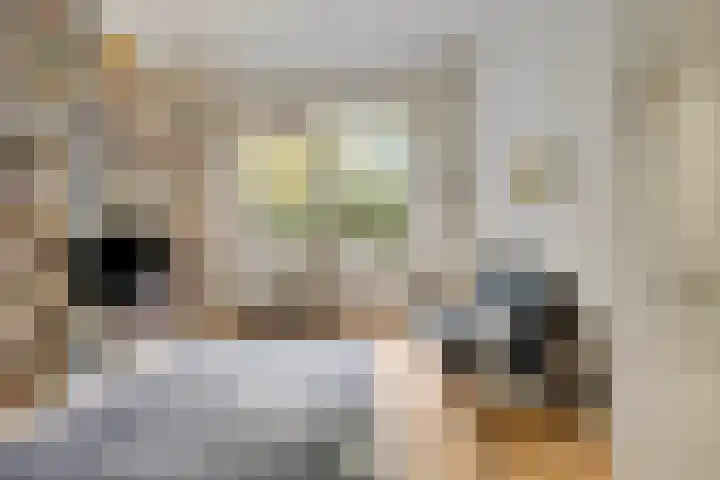 Europalaan 16 Son en Breugel thumbnail 17