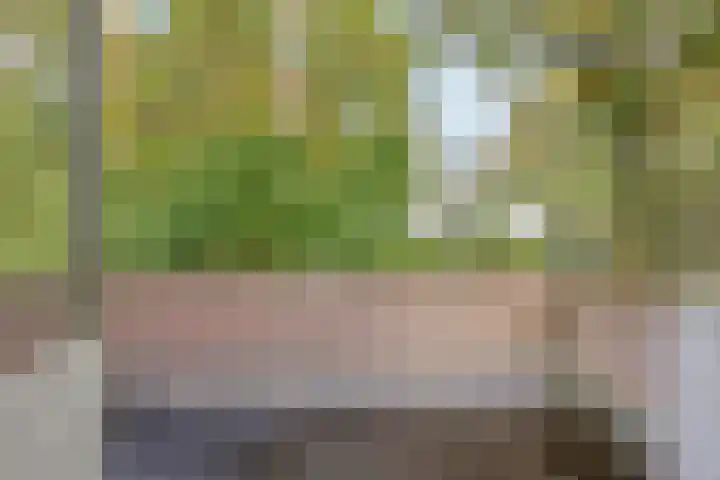 Europalaan 16 Son en Breugel thumbnail 26