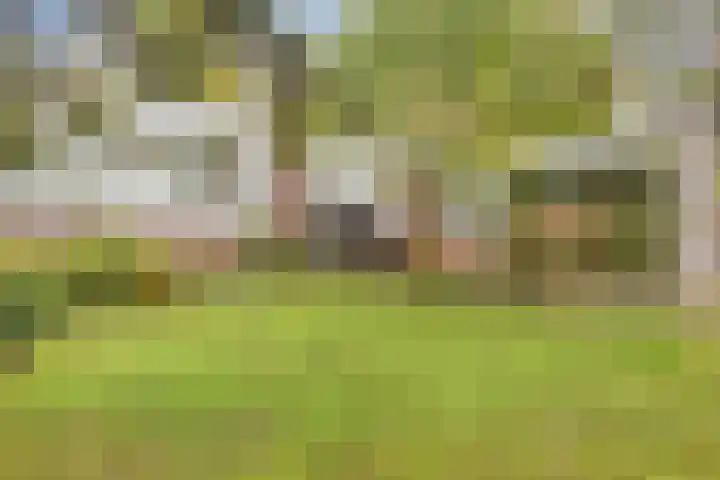 Europalaan 16 Son en Breugel thumbnail 39