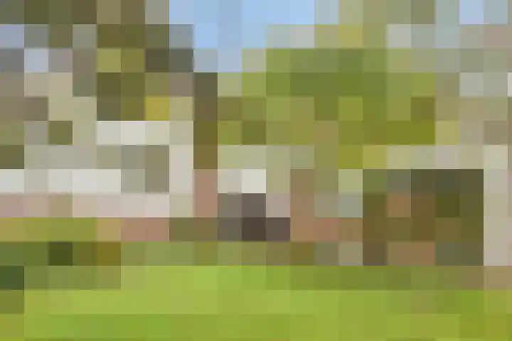 Europalaan 16 Son en Breugel thumbnail 40