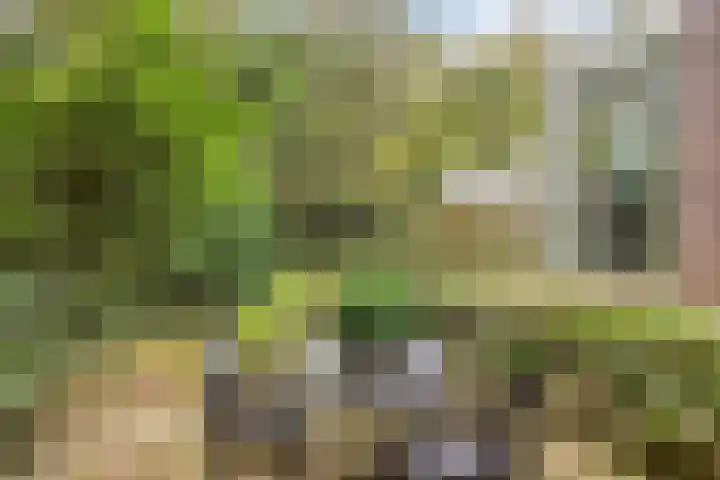 Europalaan 16 Son en Breugel thumbnail 42
