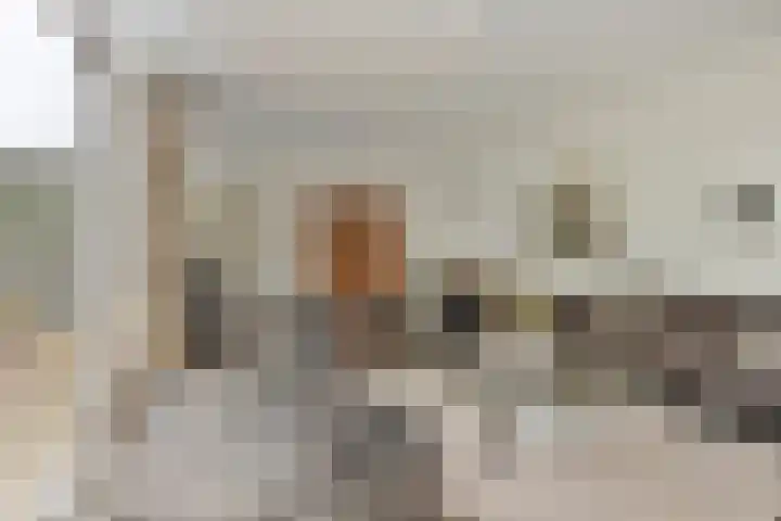 Europalaan 16 Son en Breugel thumbnail 9