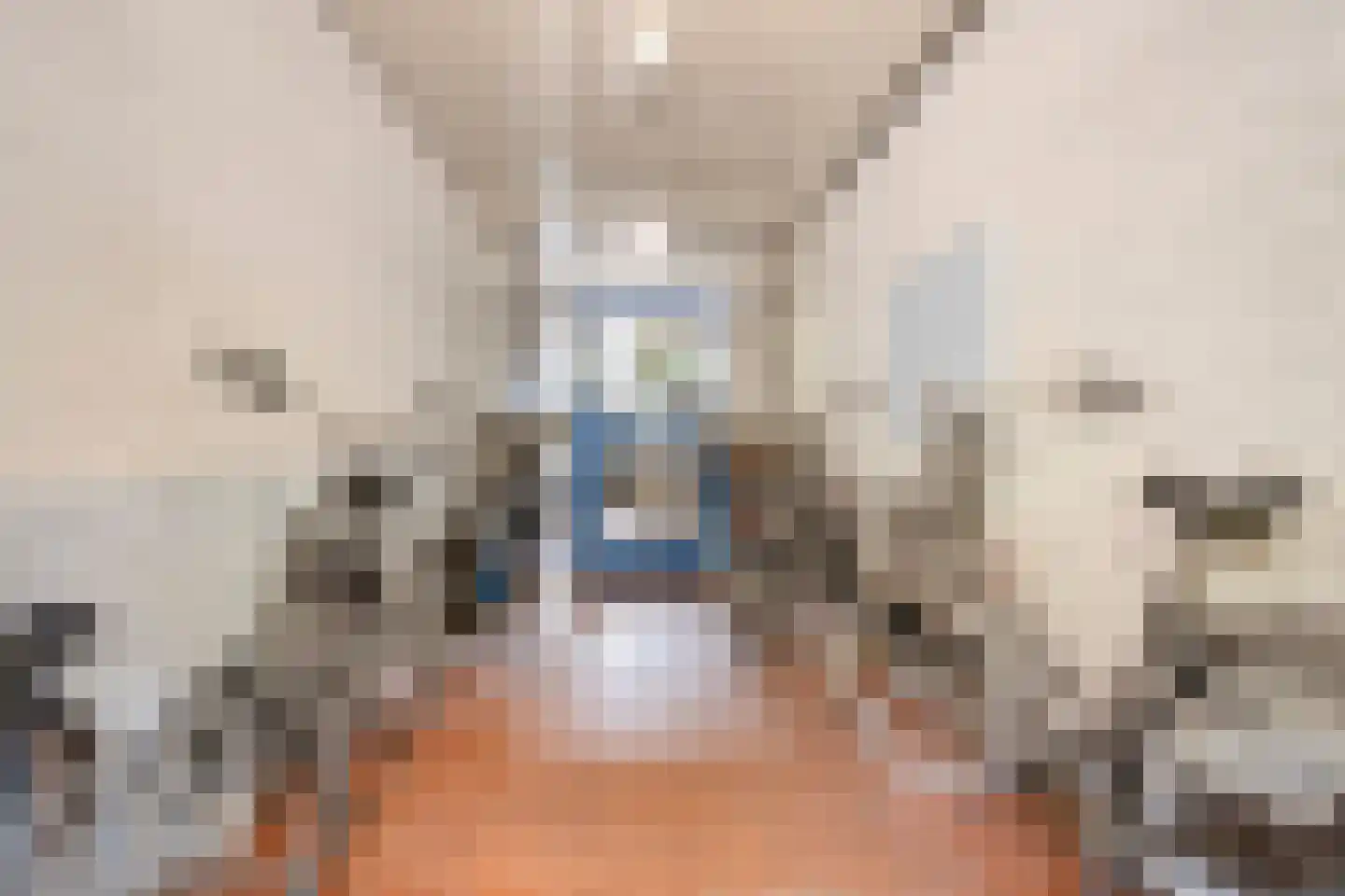 Europalaan 16 Stadskanaal thumbnail 22