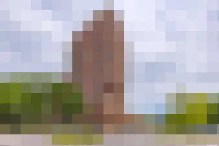 Europalaan 164 Stadskanaal thumbnail 10