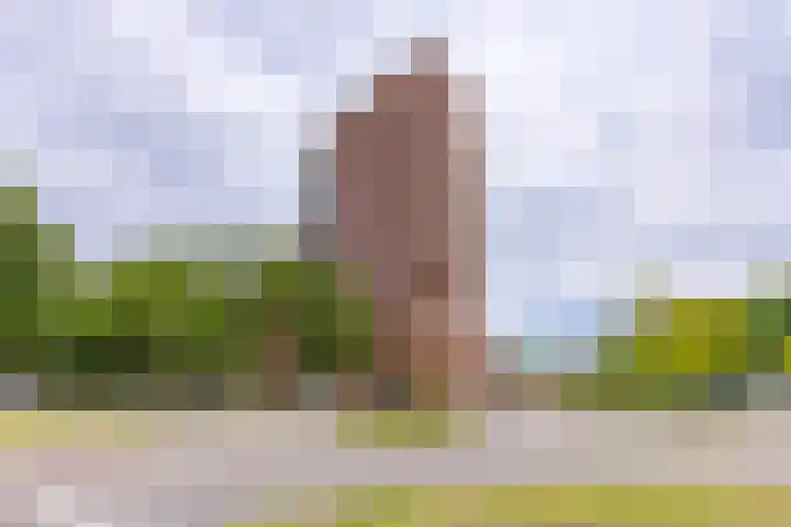 Europalaan 164 Stadskanaal thumbnail 11