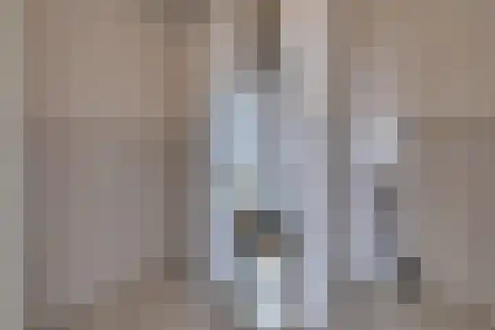 Europalaan 164 Stadskanaal thumbnail 32