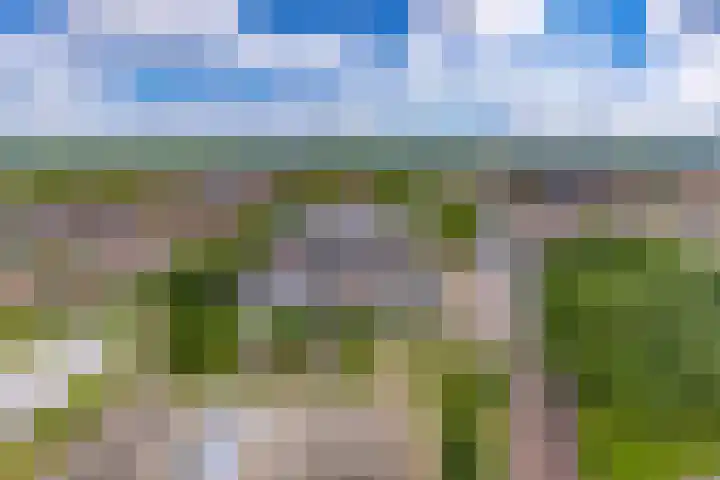 Europalaan 164 Stadskanaal thumbnail 39