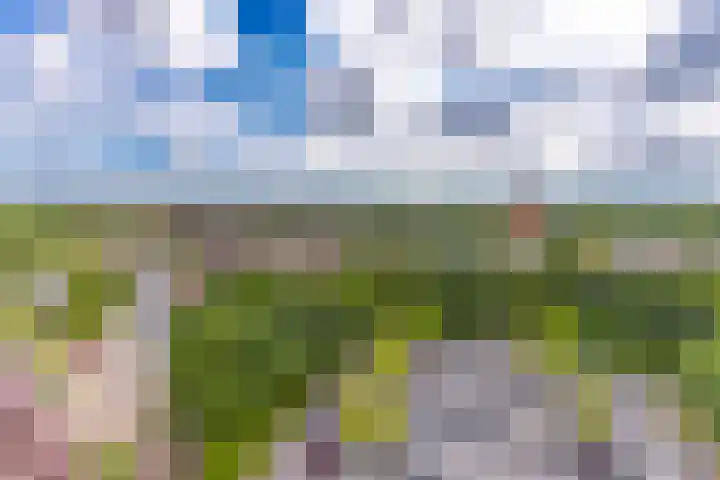 Europalaan 164 Stadskanaal thumbnail 4