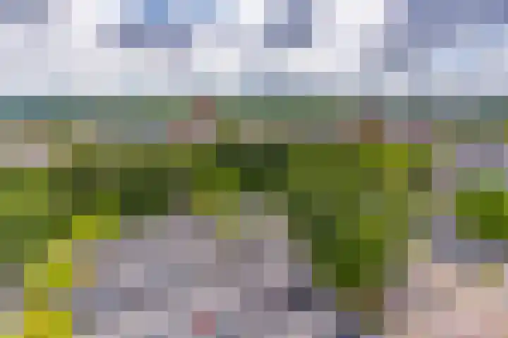 Europalaan 164 Stadskanaal thumbnail 41