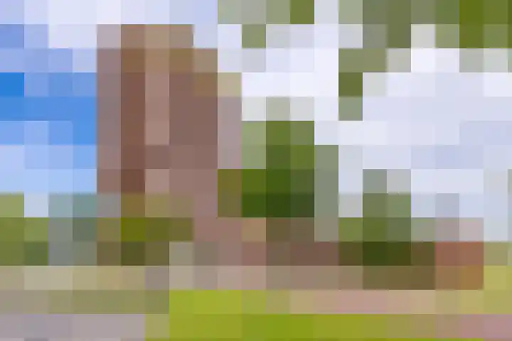Europalaan 164 Stadskanaal thumbnail 44