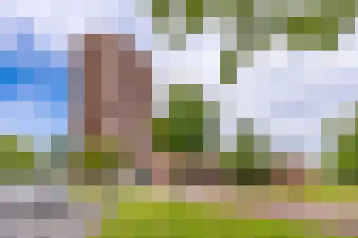 Europalaan 164 Stadskanaal thumbnail 6