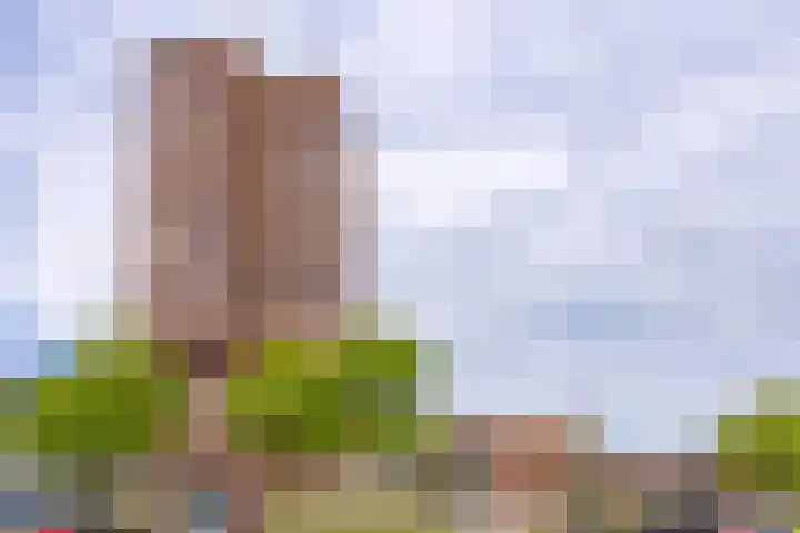 Europalaan 164 Stadskanaal thumbnail 8