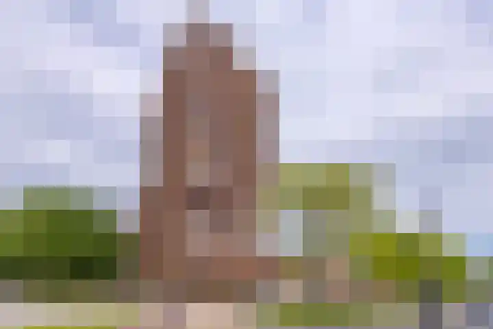 Europalaan 164 Stadskanaal thumbnail 9