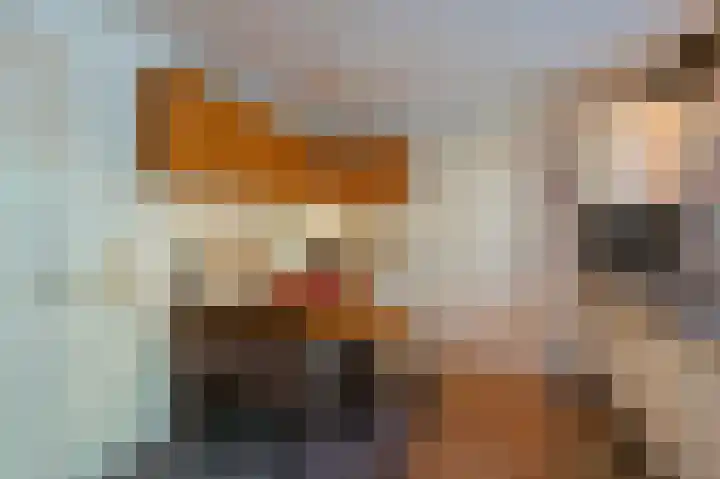 Europalaan 17 Putte thumbnail 25