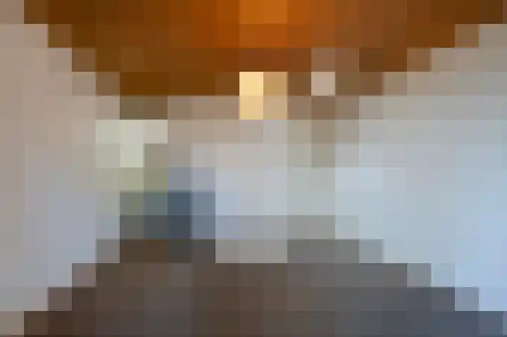 Europalaan 17 Putte thumbnail 29